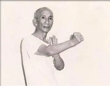 Le sei forme del Wing Chun Kung Fu — The Kwon Padova