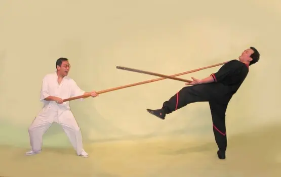 Tecnica del Bastone Lungo (Luk Dim Poon Kwan) — Wing Chun The Kwon