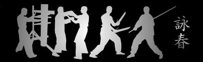 Wing Chun Kung Fu — pratica in palestra The Kwon Padova
